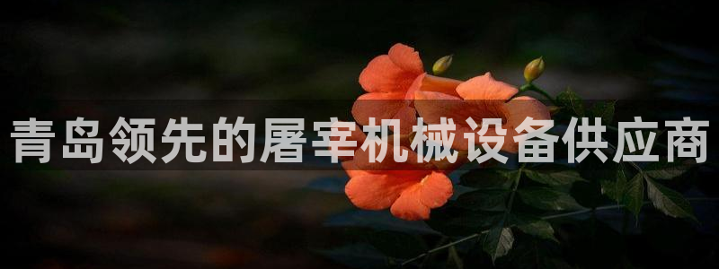 九游会官网入口首页