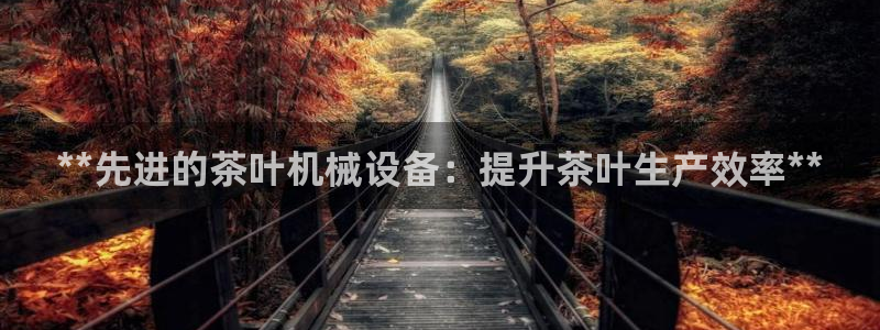 j9官网平台