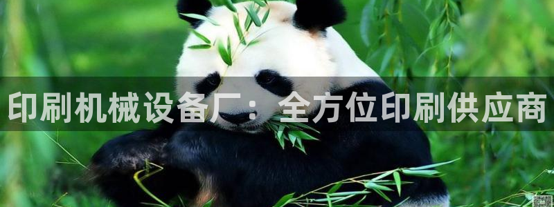 九游会ag私享