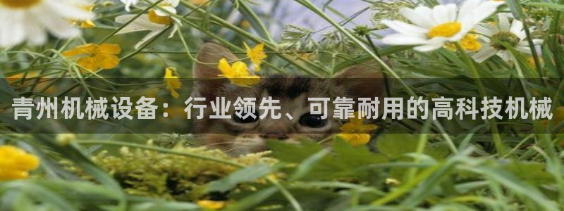 九游会官网登入首页