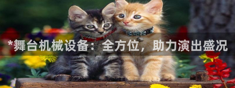 九游会官方视讯