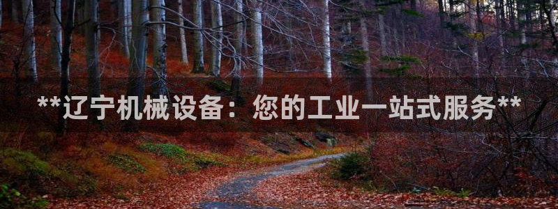 九游会官方视讯