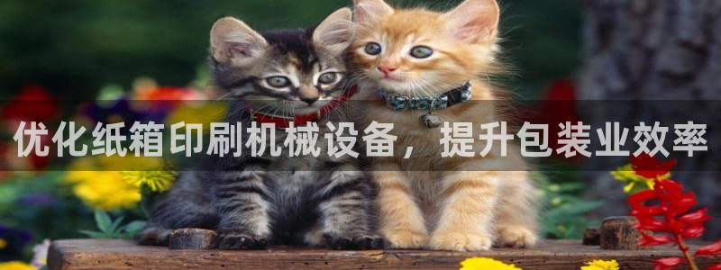 J9九游会网站