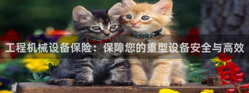 j9九游会导航