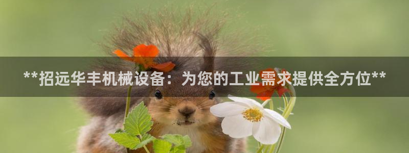 九游会官网登录中心