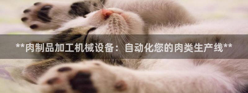 九游会官网入口ag亚洲