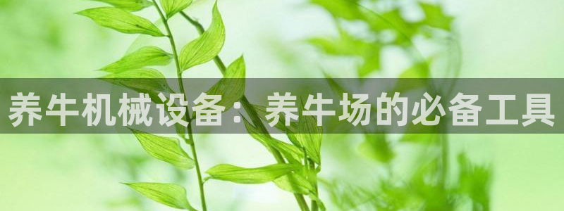 九游会是真的吗