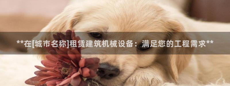 九游会官网进入口