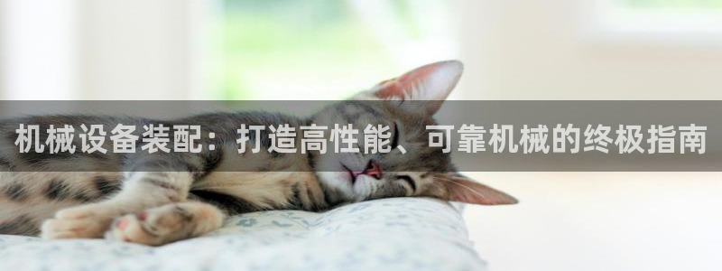 九游会官网入口ag亚洲
