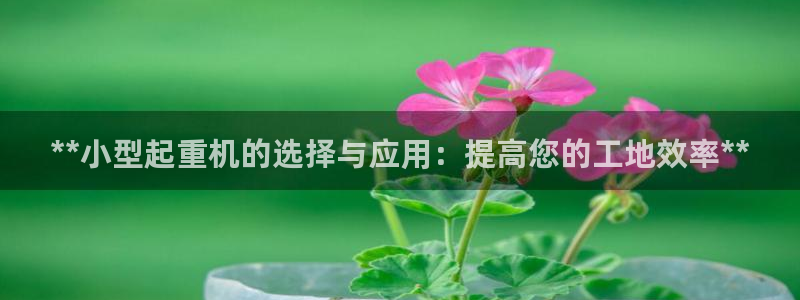 j92019九游会