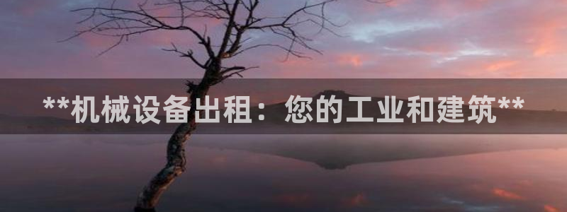 j9九游会网址是什么