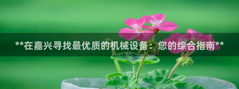九游会平台网站