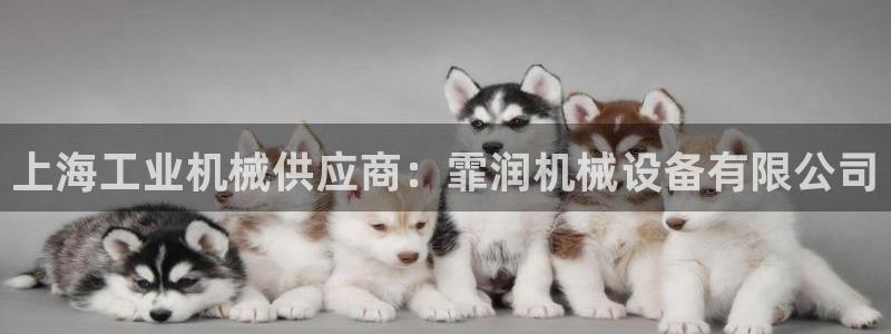 j9九游会首页入口试