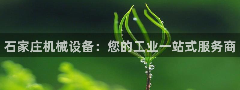 九游会集团网址