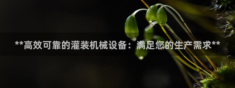 九游会在