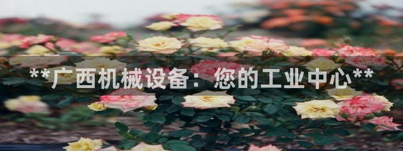 九游会俱乐部