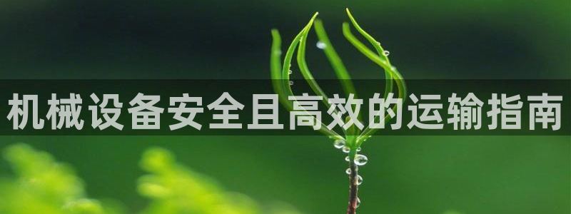 j9j4.cn