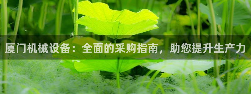 九游会老哥俱乐部官网
