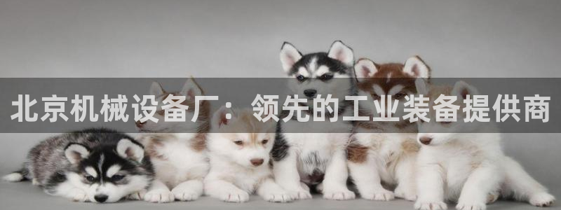 九游会app官方下载安装