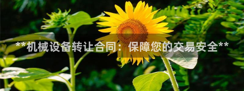 九游会口碑怎么样
