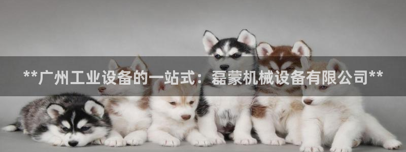九游会老哥俱乐部