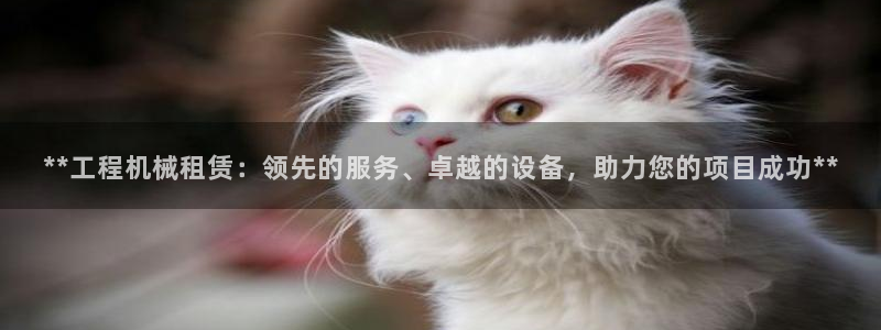 J9九游会能退款吗