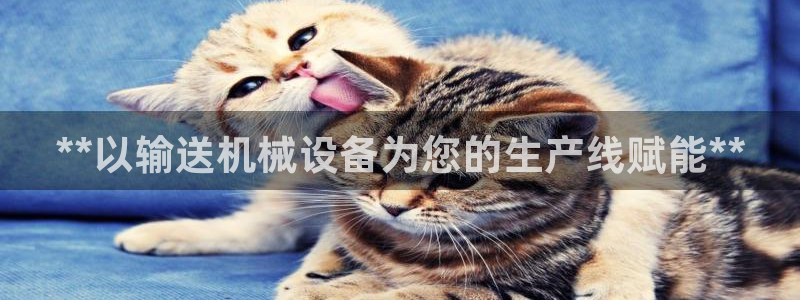 九游会集团 | 首页