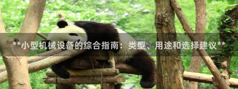 九游会真人第一品牌游戏合营