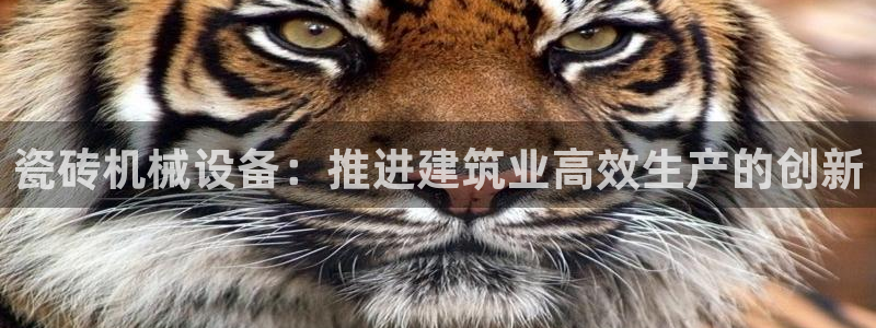 J9九游会集团
