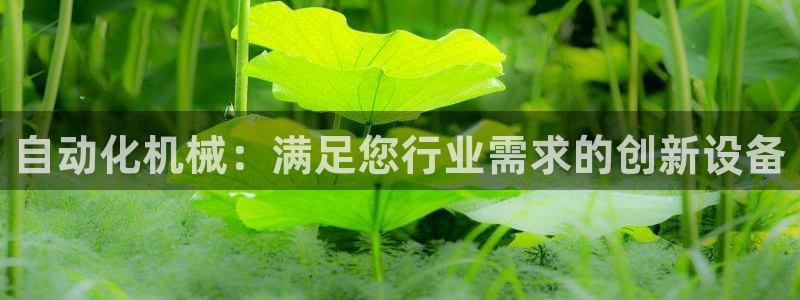 九游会大家觉得怎么样