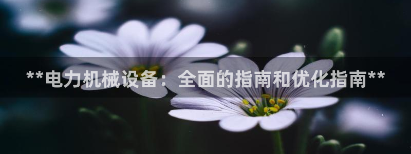 j9九游会官方网站