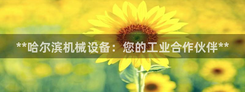j9九游会app下载