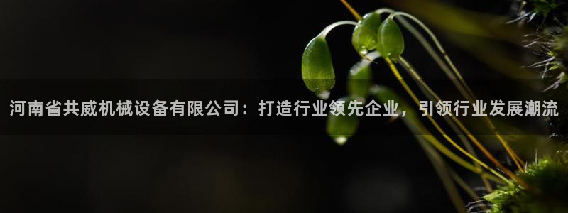 九游会j9官网网站