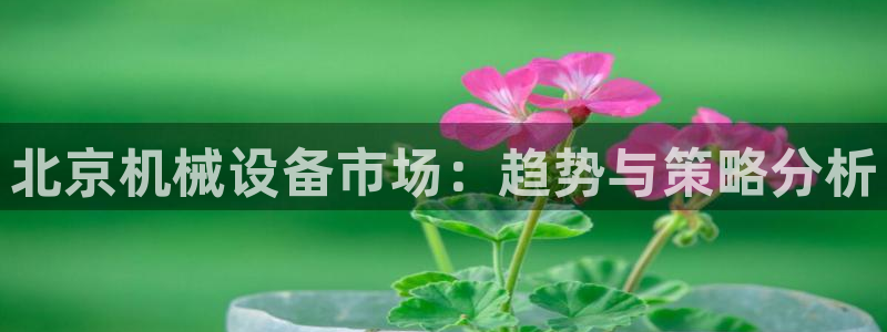 ag九游会老哥