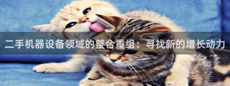 九游会不会凉