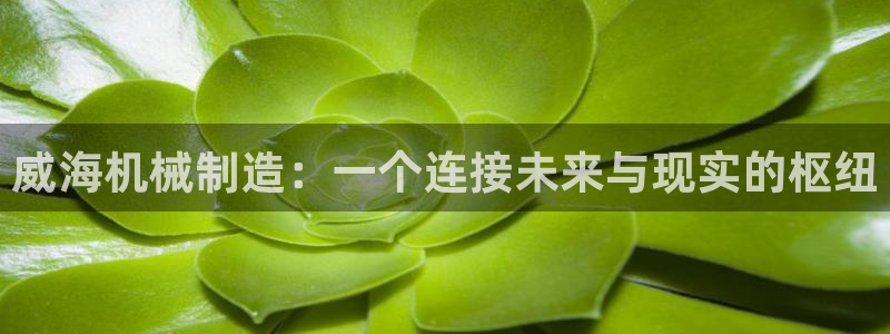 j9九游会不给提款