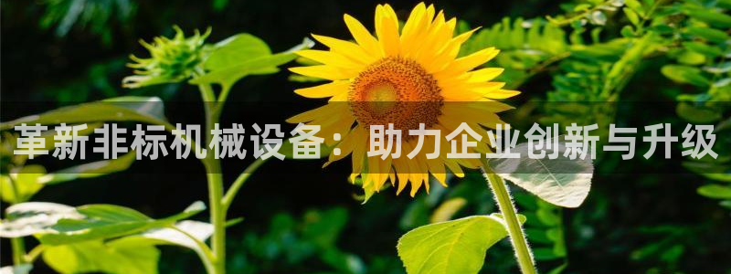 ag九游会论坛