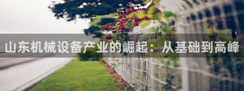 九游会软件