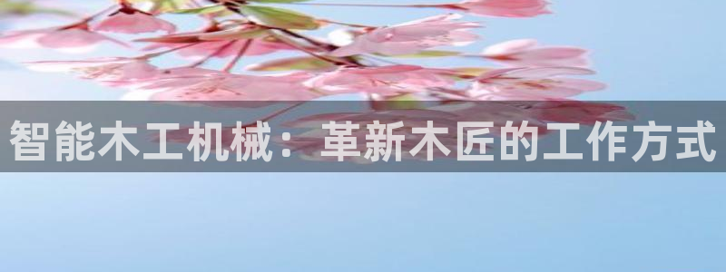 九游会ag官方网站在哪
