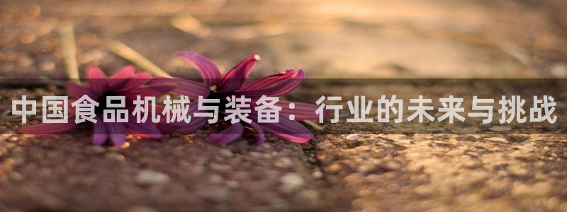 九游会老哥俱乐部官网