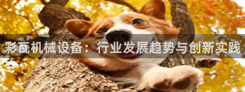 九游会网址九
