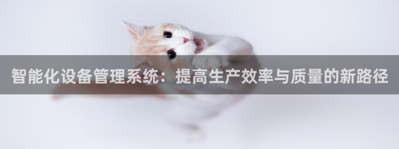 j9九游会真人游戏第一品牌